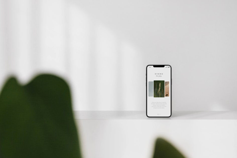 Best Practices for Using WordPress Plugins